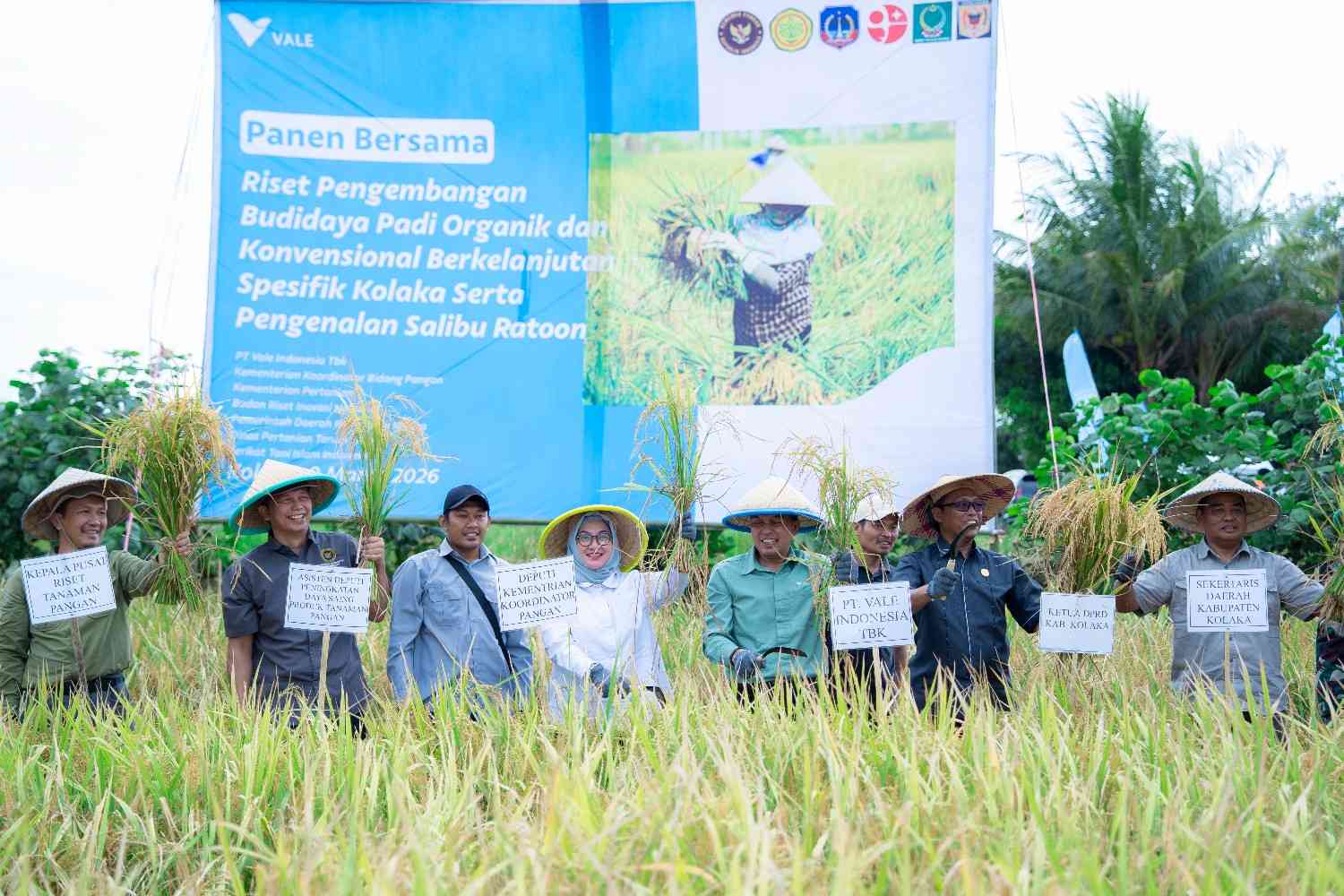 PT Vale Panen Demplot Padi Berkelanjutan di Kolaka